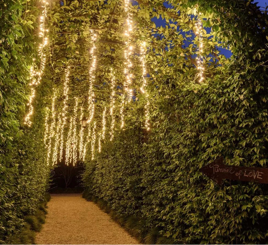 FireGlow – LED Garland ✨🎄